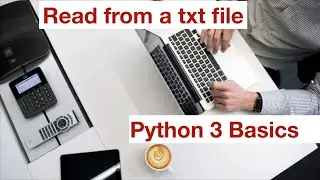 How to read from a Text File in Python