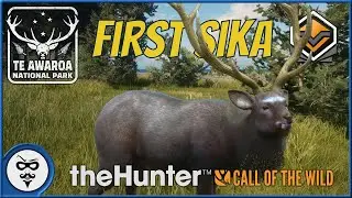 Setting Up The Red Deer Great One Grind in NZ - A SURPRISE in Te Awaroa | theHunter Call of the Wild