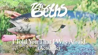 The Beths - I Told You That I Was Afraid (Acoustic) (Official Visualizer)