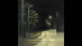 she’s my collar - sped up