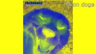 Preview 2 HAPPY FOX Deepfake Effects [Preview 2 Tina Deepfake Effects]