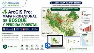 ArcGIS Pro - Generar Mapa de Bosque y Pérdida de Bosque