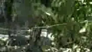 LazZ SEgUN  peleazZ  jaja!!