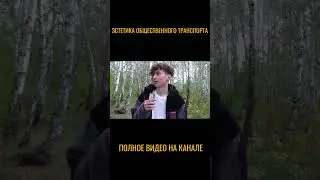 Эстетика общественного транспорта 