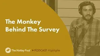 How Did SurveyMonkey Get its Name?
