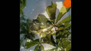 You are made of sun kisses, of clouds embraces and violet spring wind