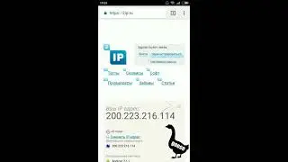 Как изменить ip адрес телефона Android без программ и root прав.