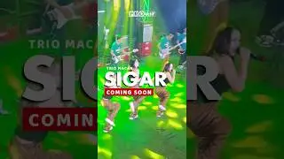 SIGAR - TRIO MACAN (OFFICIAL TEASER VIDEO) #shorts