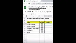 Insert Checkbox Function In Google Sheet