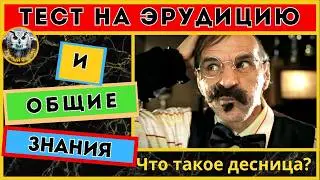 Квиз для всех | Викторина | Тест на эрудицию