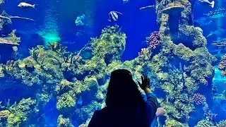 Malta National Aquarium Tour