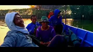 sarang ikan kerapu