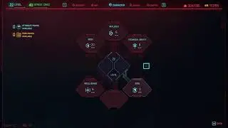 TheYork127 playing Cyberpunk 2077