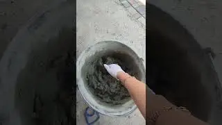 7 июня 2024 г.