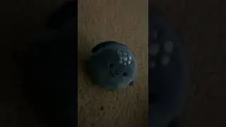 New stuffed animal 012 part 1