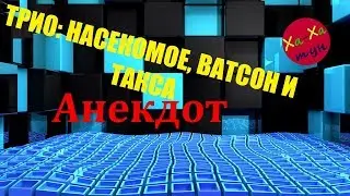ТРИО: НАСЕКОМОЕ, ВАТСОН И ТАКСА