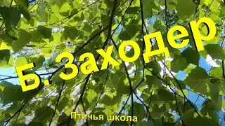 Б. Заходер "Птичья школа"