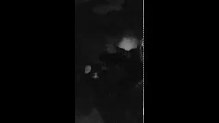 Turquoise Trail Sasquatch Knocks FULL VIDEO