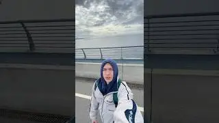 Красивые Питерские виды