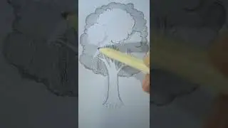 Drawing a tree