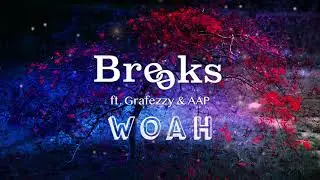WOAH! - ft. Grafezzy & AAP