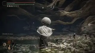 ELDEN RING™ | Malenia Ng+ vs Erdtree Shield