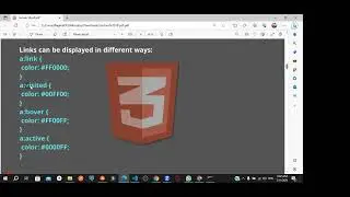 html css position margin padding