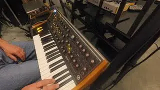 Moog Sub37 and MF-105M MIDI MuRF living in perfect harmony? (Part 1)