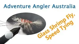 Fly tying- How to fly tie a shrimp fly, glass shrimp pattern sped up