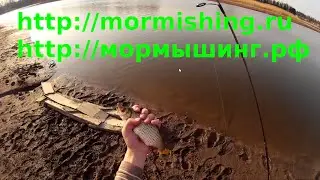 Мормышинг. Большая красноперка на мормышку (Trapara 602XUL)