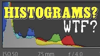 Understanding Photography Histograms!