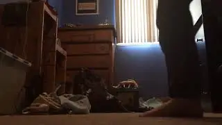 La di da di da, slob on me knob