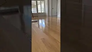 #short