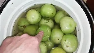 The fastest way to pickle green tomatoes.