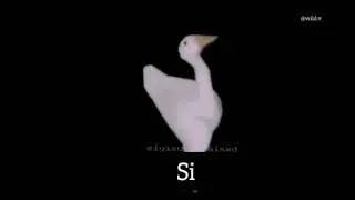 si