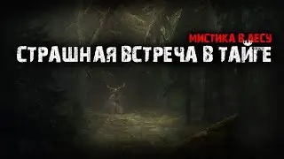 Страшная встреча в тайге - Мистика в лесу.