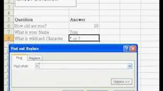 Excel Solution - How to Search and Filter Wildcard Character in Excel.avi