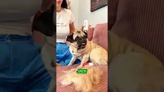 Max Got Revenge 😨😱