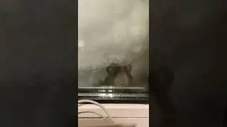 А че собснно происходит?😂