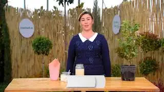 Дрожадан гуллар учун озуқа