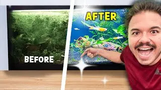 This COMPLETELY CHANGED my fish tank?!