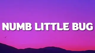 Em Beihold - Numb Little Bug (Lyrics) “do you ever get a little bit tired of life”