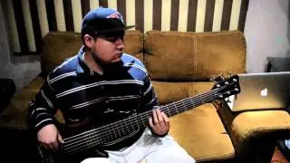 Electro Deluxe Bass Cover