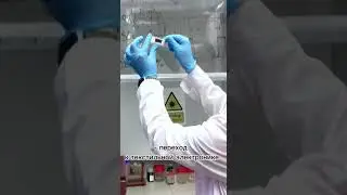 Научная группа TERS-Team из ИШХБМТ ТПУ разработала электропроводящий текстиль для «умной» одежды.