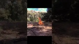 бушкрафт #forest #bushcraft #интересное #edc #fire #edcknife #camping #лес #кино #мем #мем