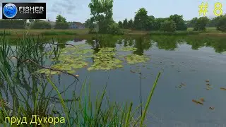 Путь к серебряному кубку. ч.4: Пиявка, ёрш, лягушка. Пруд Дукора. # 8. Прохождение Fisher Online
