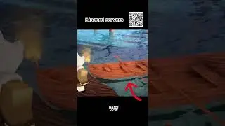 WTF 