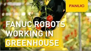How FANUC Robots Are Transforming Greenhouse Farming | Westburg & FANUC