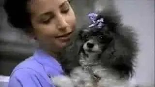 What's on Your PowerBook Series -- an owner of a dog shop