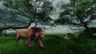 lion 2d animation in after effect